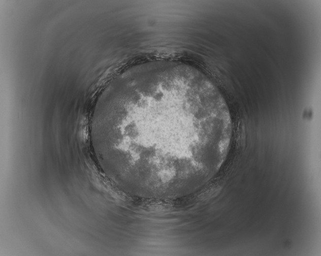 X0000114650962200911101317