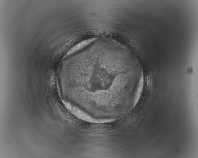 X0000114650963200911101317