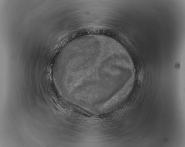 X0000114650964200911101317