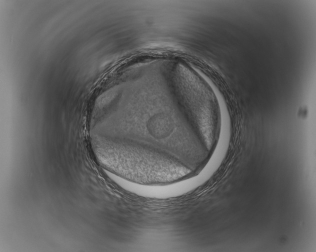 X0000114650965200911101317