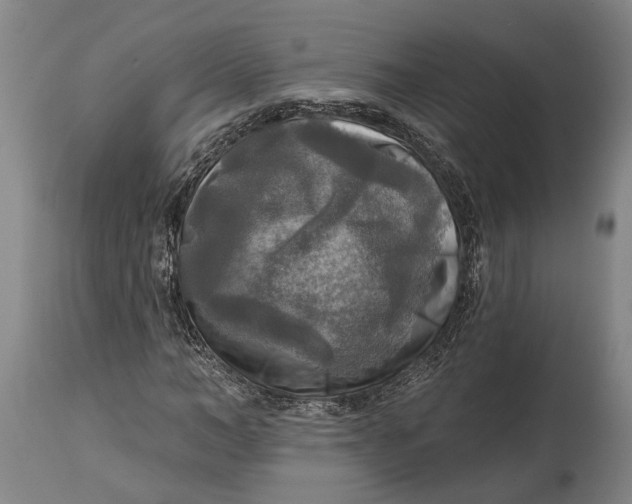 X0000114650966200911101317