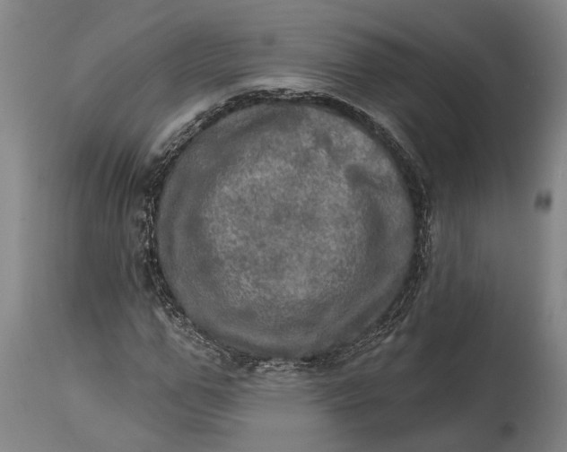 X0000114650967200911101317