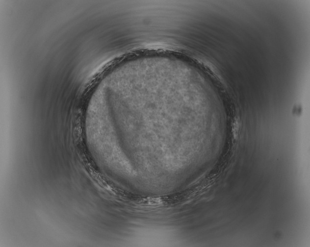 X0000114650968200911101317