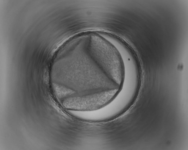 X0000114650969200911101317