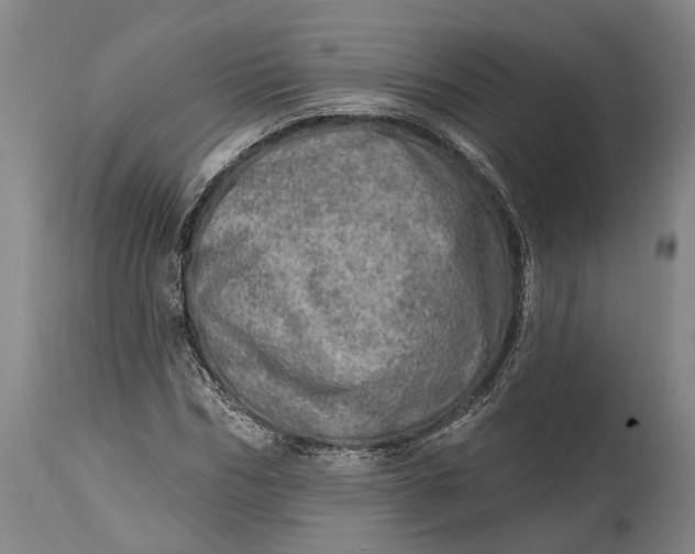 X0000114650970200911101317