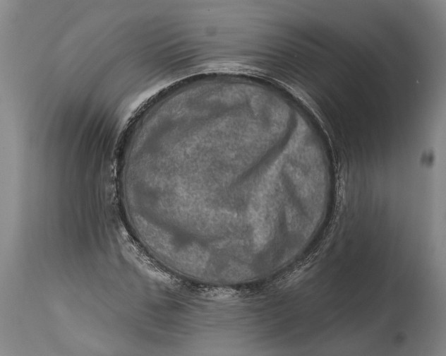 X0000114650971200911101317