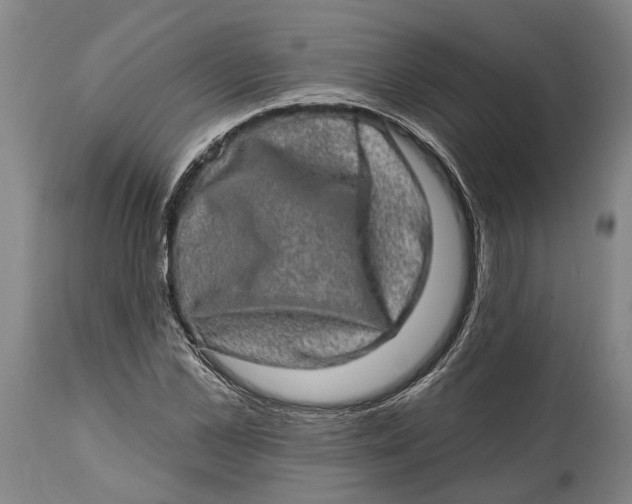 X0000114650973200911101317