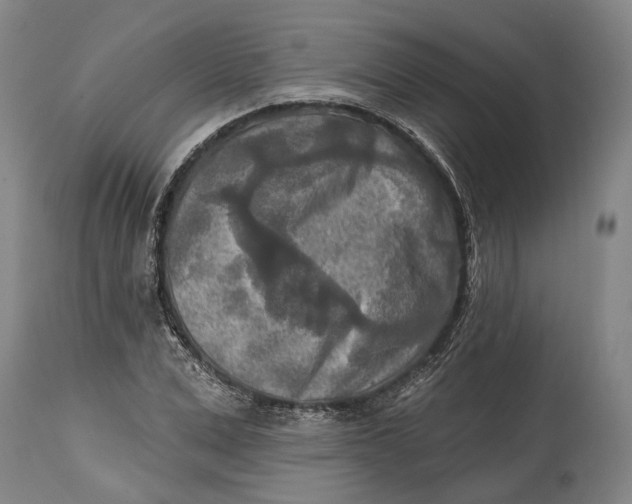 X0000114650975200911101317