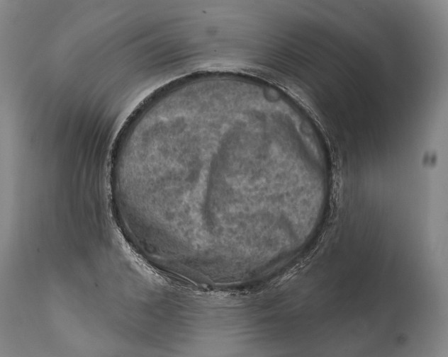 X0000114650976200911101317