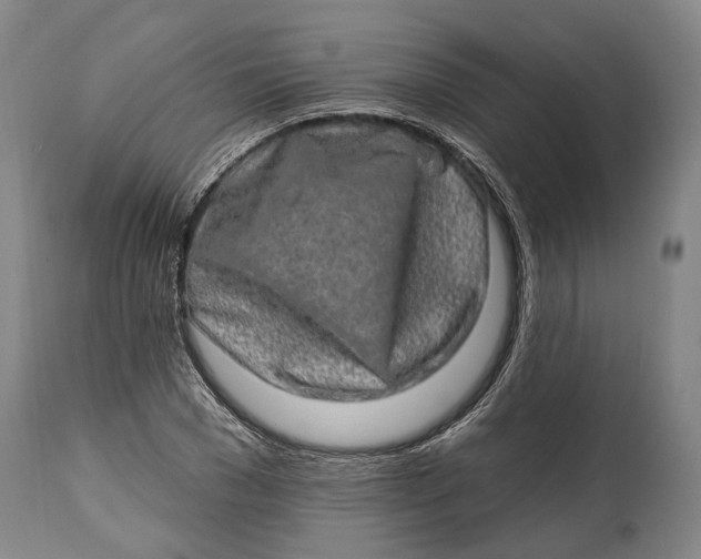 X0000114650977200911101317