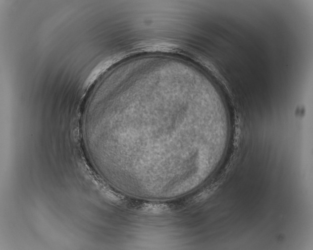 X0000114650978200911101317