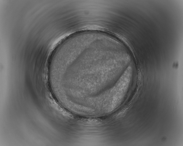 X0000114650979200911101317