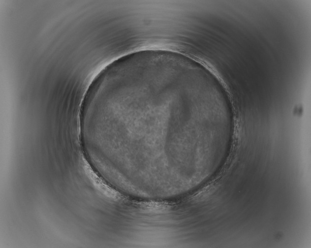 X0000114650980200911101317