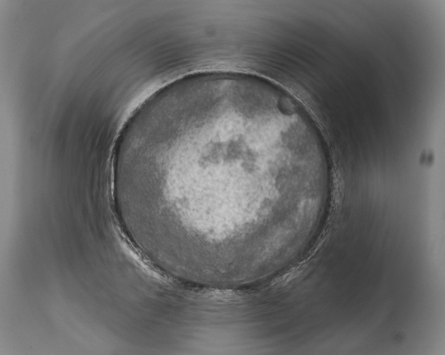 X0000114650982200911101317