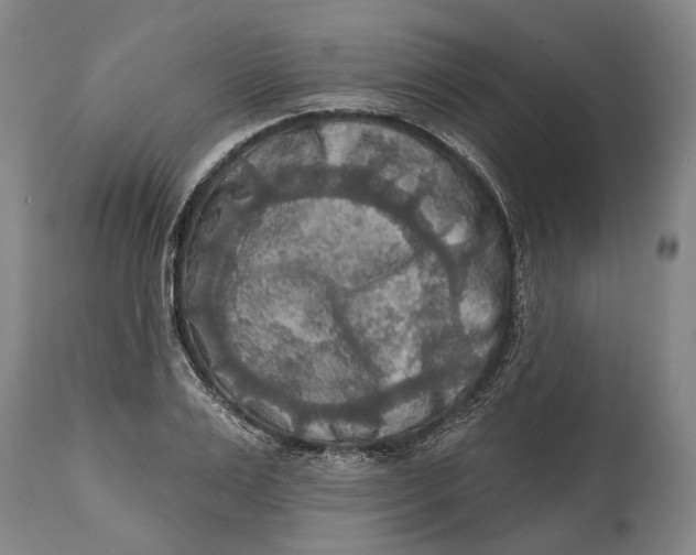 X0000114650983200911101317