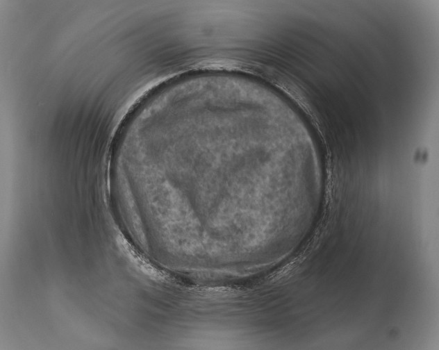 X0000114650984200911101317