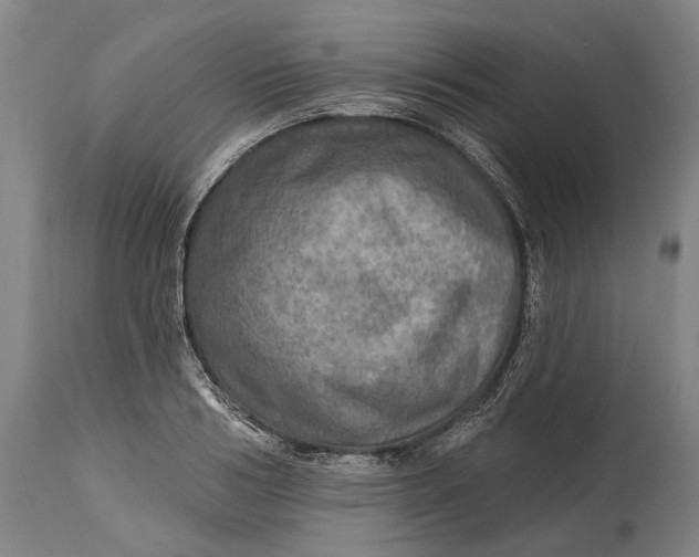 X0000114650986200911101317