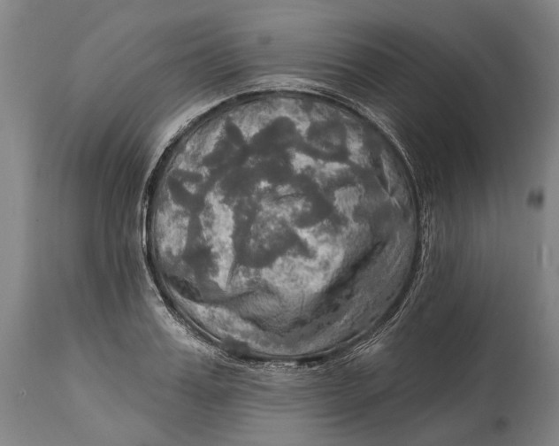 X0000114650987200911101317