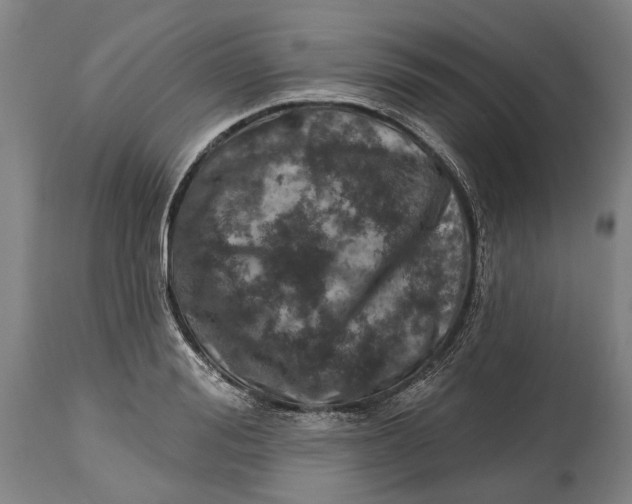 X0000114650988200911101317