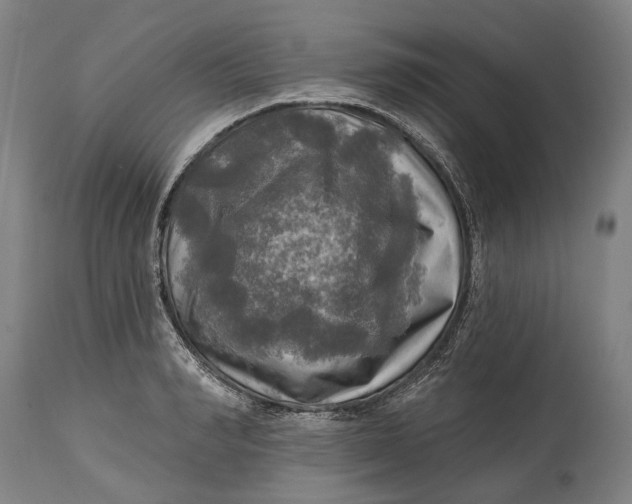 X0000114650990200911101317