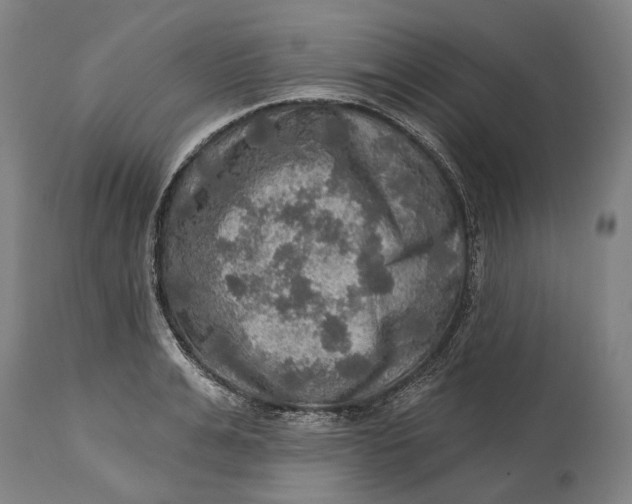 X0000114650991200911101317