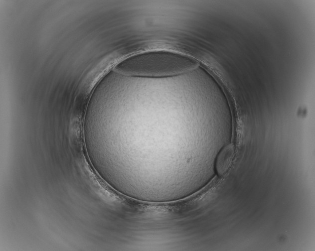 X0000114650993200911101317