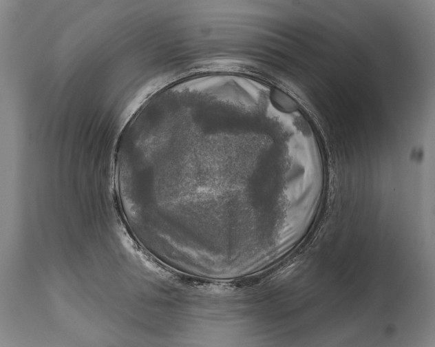 X0000114650994200911101317