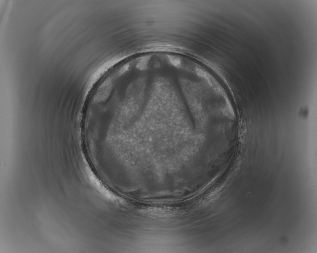 X0000114650995200911101317