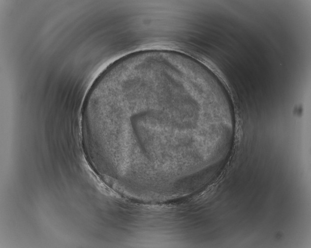 X0000114650996200911101317