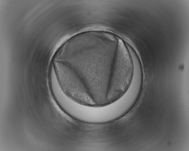 X0000114650997200911101317