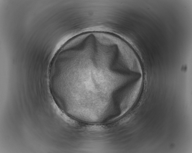 X0000114650998200911101317