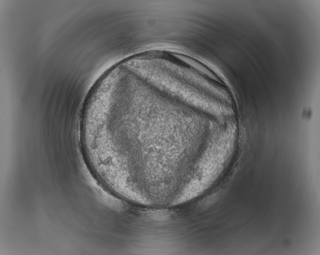 X0000114650999200911101317