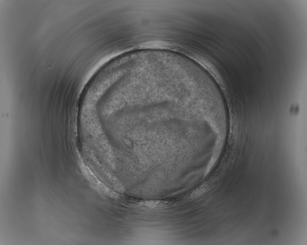 X0000114651000200911101317