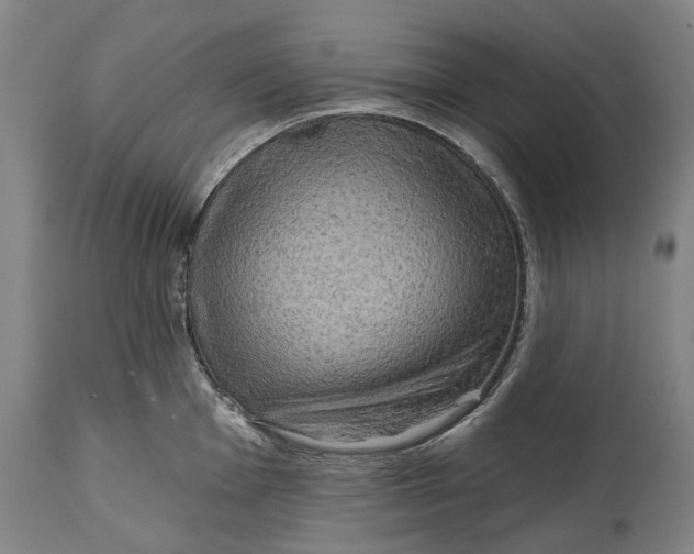 X0000114651001200911101316