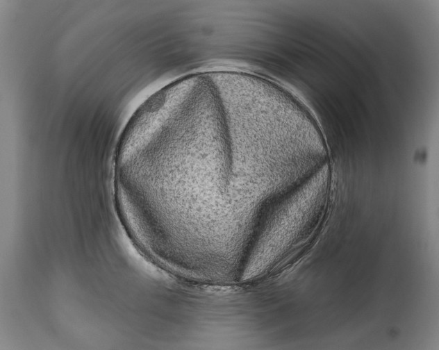 X0000114651003200911101316