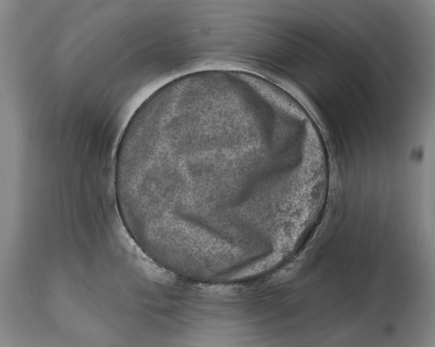 X0000114651004200911101316