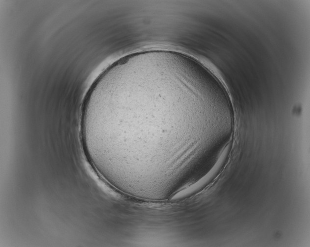 X0000114651005200911101316