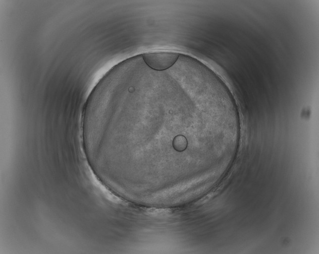 X0000114651006200911101316