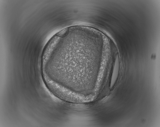 X0000114651007200911101316