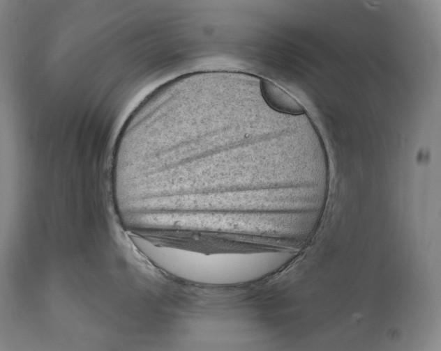 X0000114651008200911101316