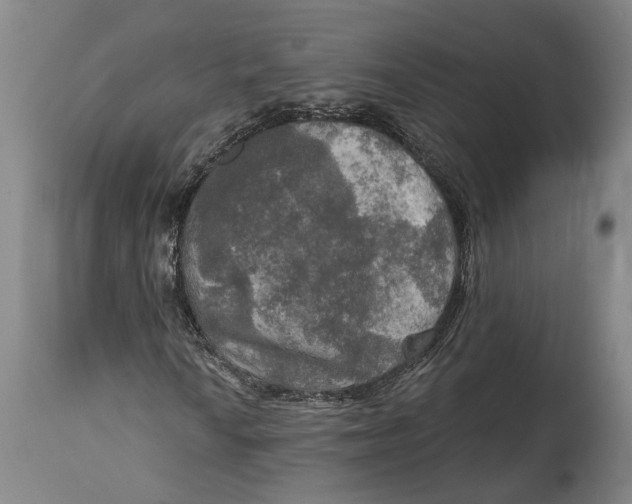 X0000114651010200911101316