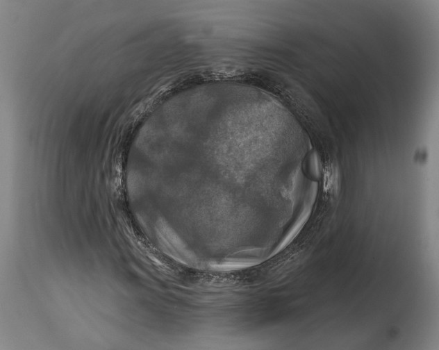 X0000114651011200911101316