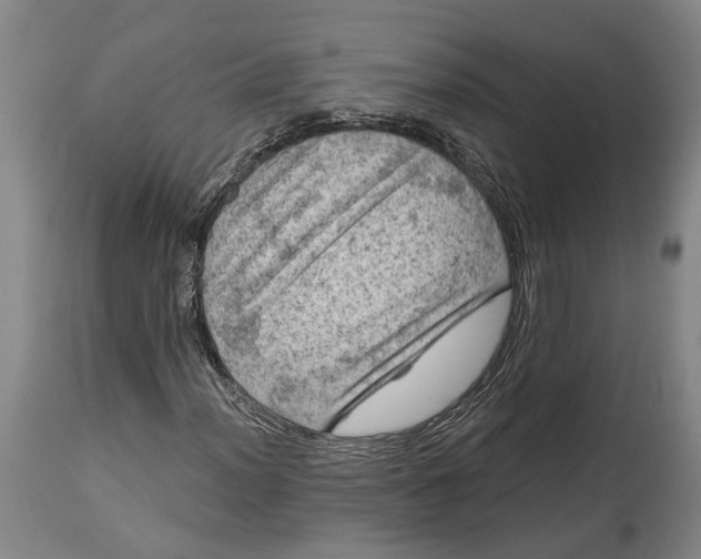 X0000114651012200911101316