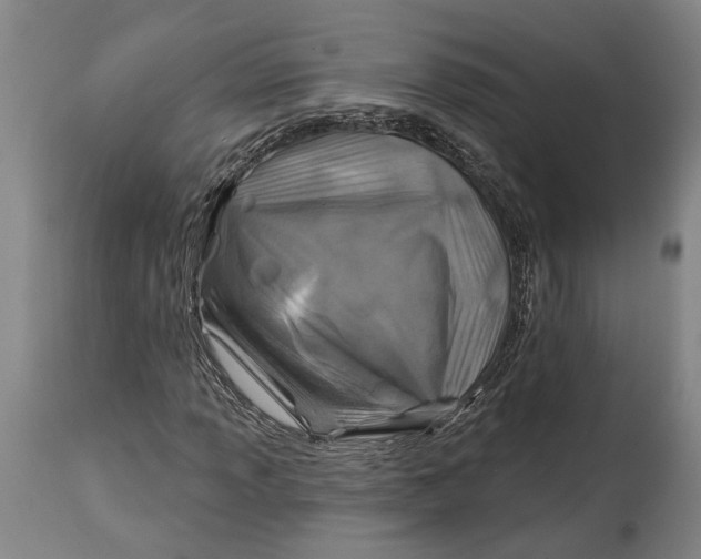 X0000114651013200911101316