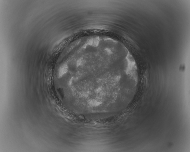 X0000114651014200911101316