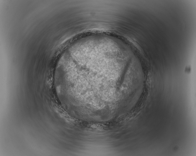 X0000114651015200911101316