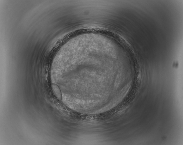 X0000114651016200911101316