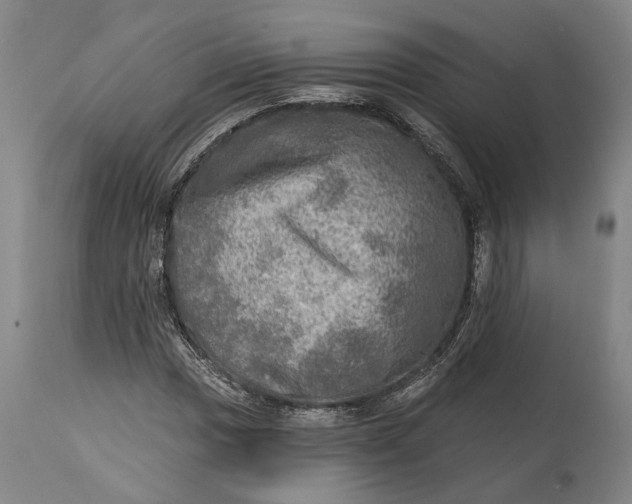 X0000114651017200911101316