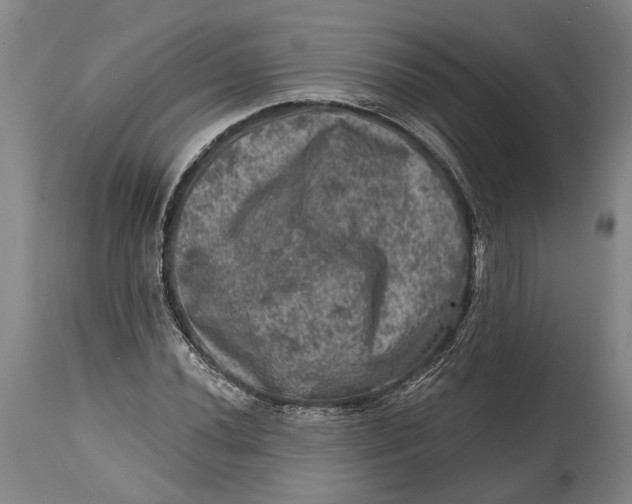 X0000114651020200911101316