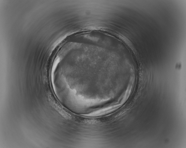 X0000114651023200911101316